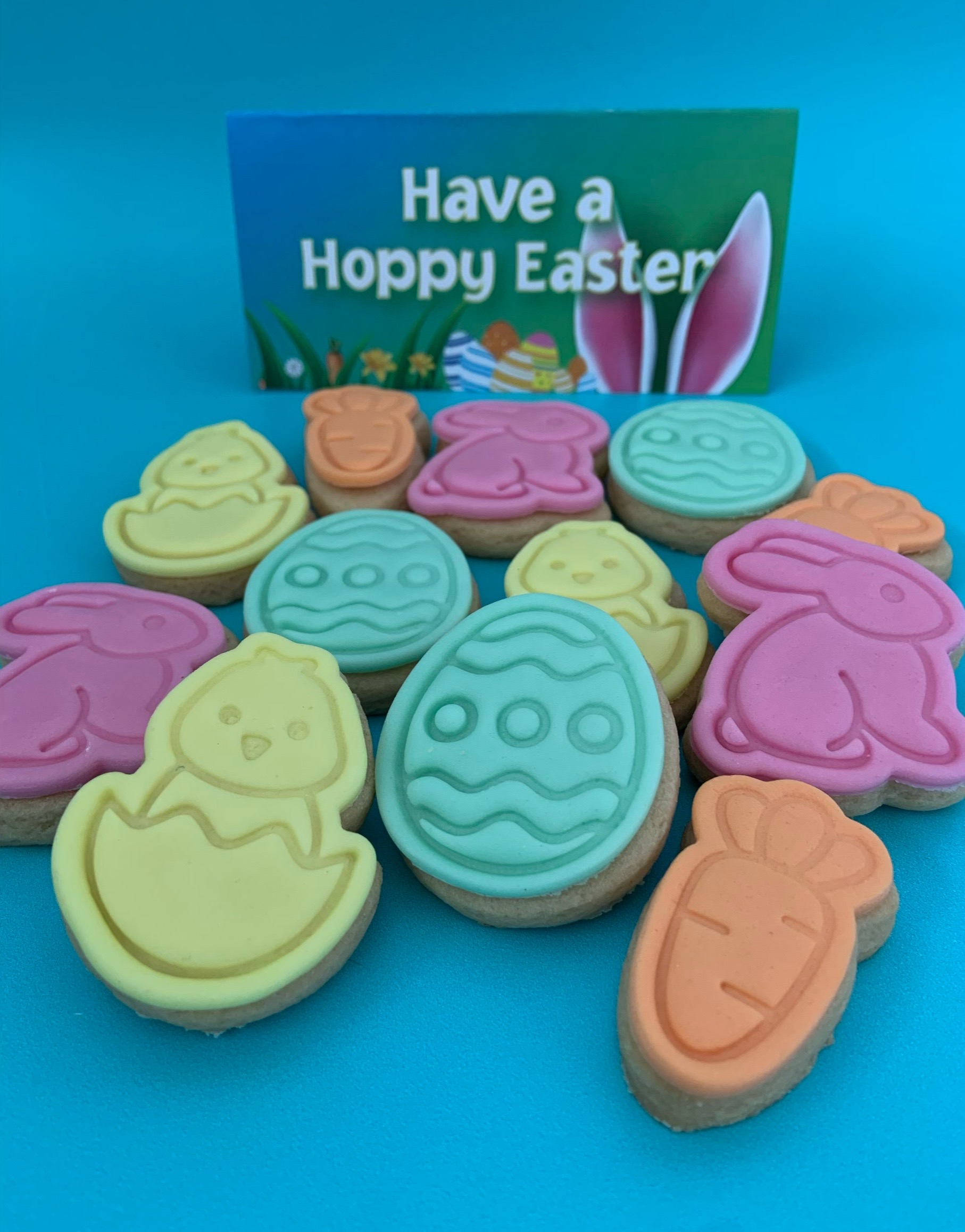 Have a Hoppy Easter Gift Bag_close up