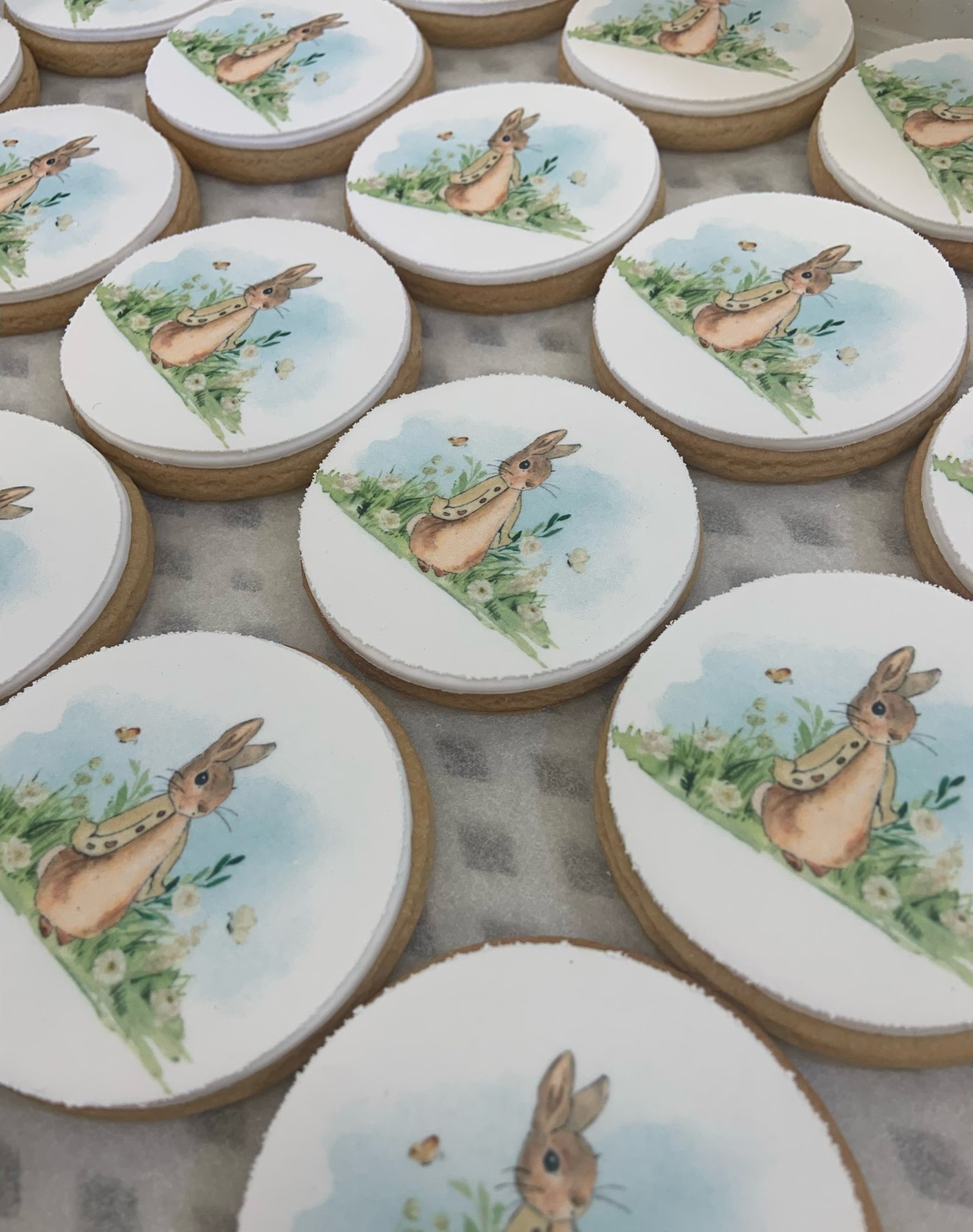 Peter Rabbit Birtday Cookies_2
