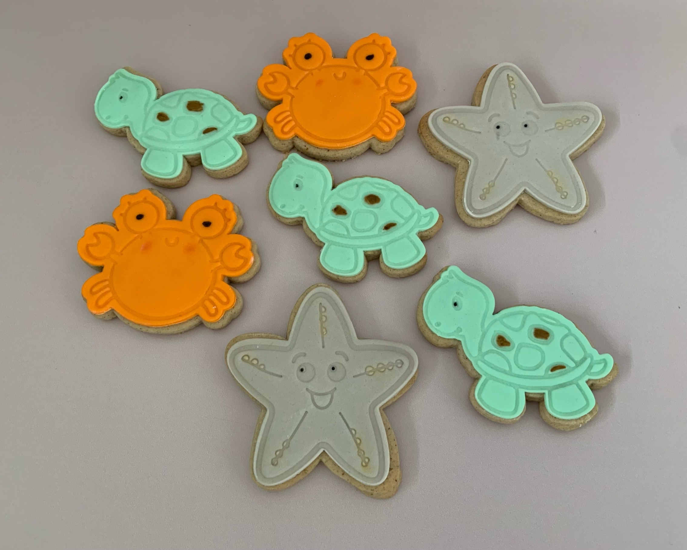 Animal Cookies - Rockpool Sea Creatures