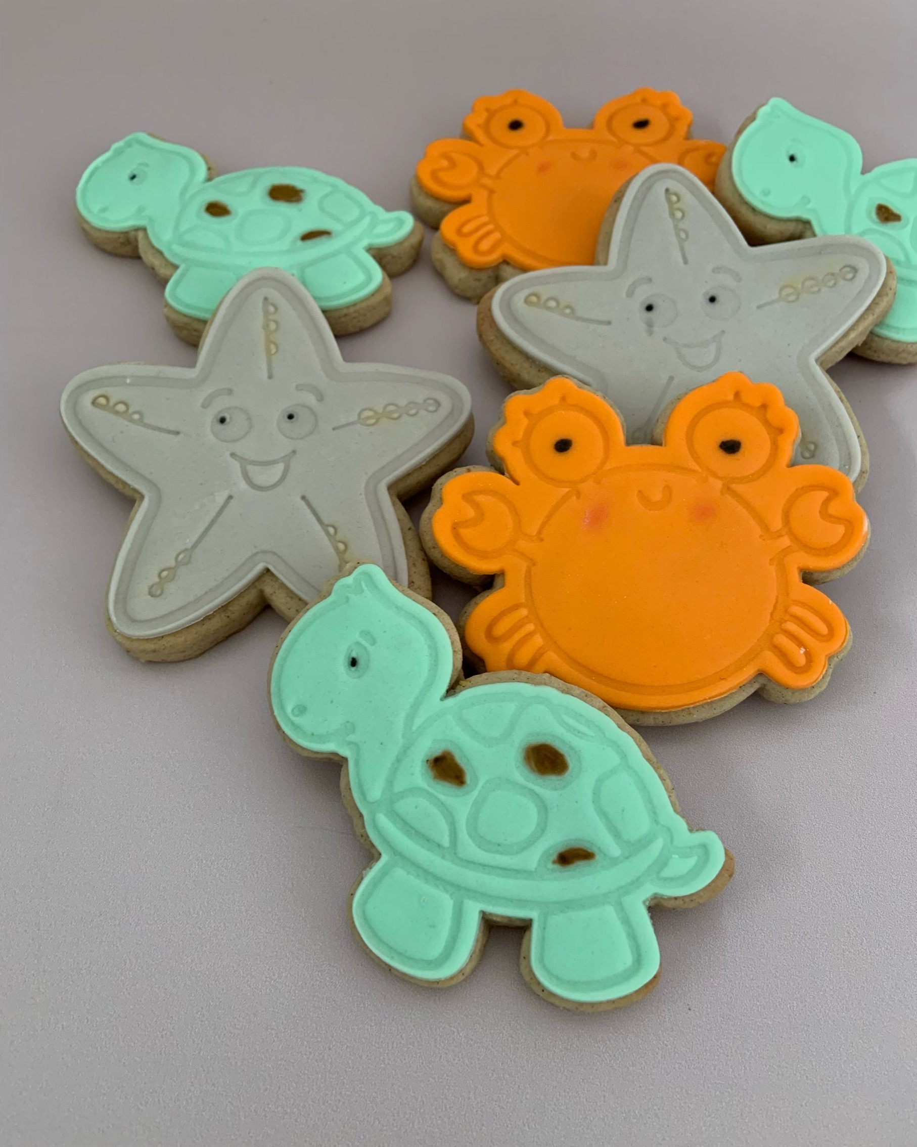 Animal Cookies - Rockpool Sea Creatures_close up Rockpool sea creature decorated cookies
